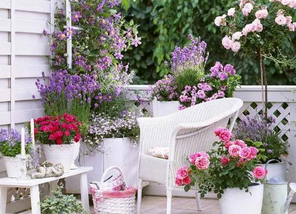 Ý tưởng tuyệt vời về khu vườn ngoài ban công với ghế ngồi hóng mát và hoa nở xung quanh